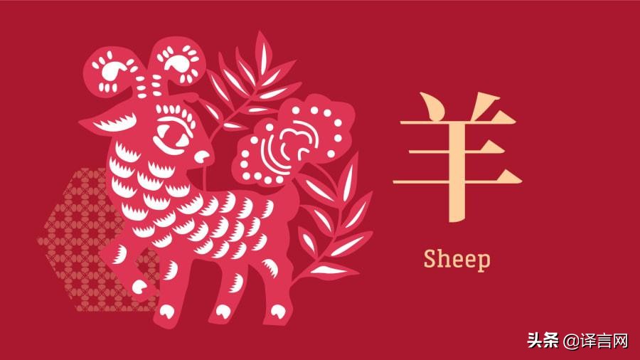 猪年的十二生肖的运势,1971猪年60岁好运运势