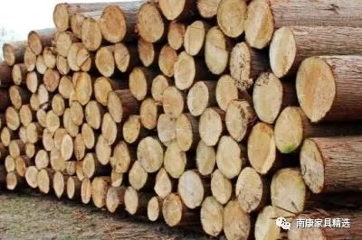 木头和树枝做的家具,哪些木头可以做成家具木材