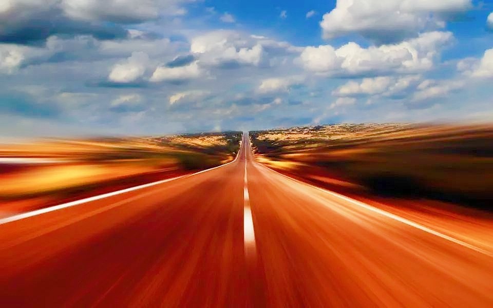 seetheelephant,seeingtheelephant