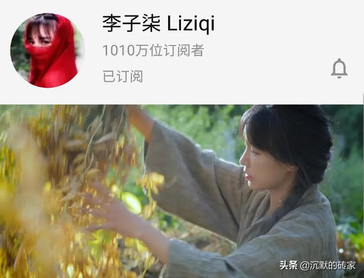 辞掉高薪稳定工作的人后悔吗,辞掉铁饭碗做网红