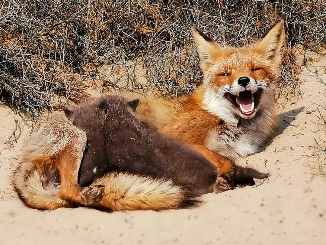 华为p30的镜头模组叫什么,华为p30镜头是蓝宝石的吗