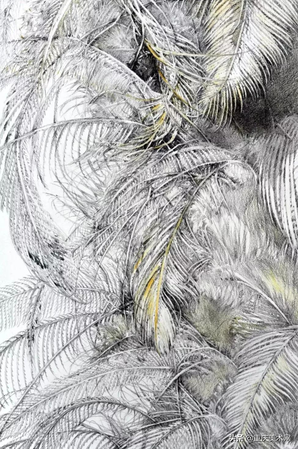 中央美术学院精微素描,中央美术学院全国素描第一名