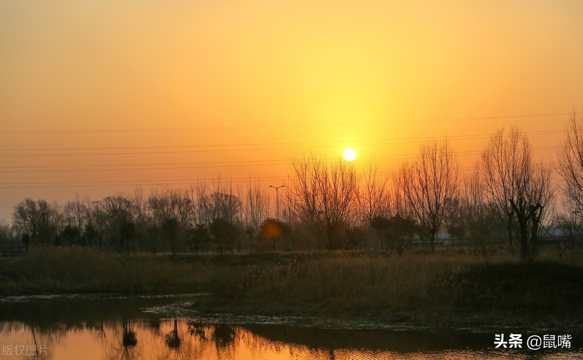 世说新语二则的译文,世说新语王子敬译文