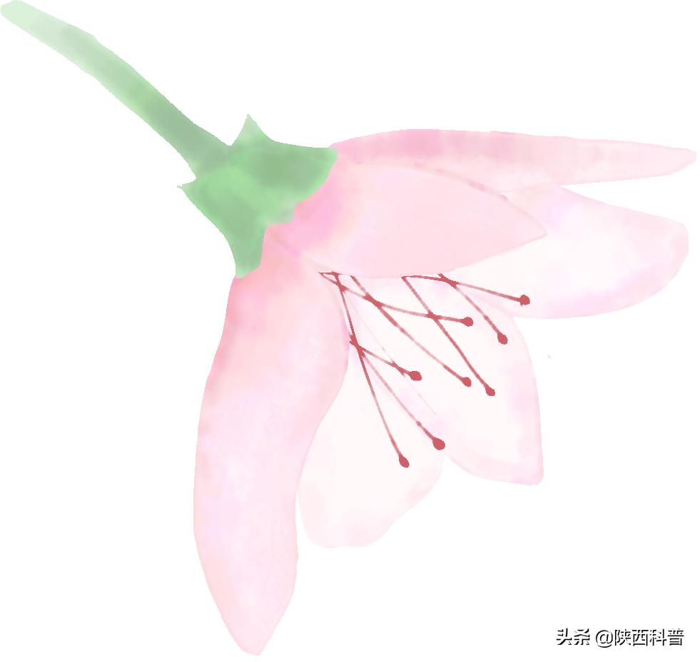 女汉子是怎么样炼成的,女人是怎样炼成的