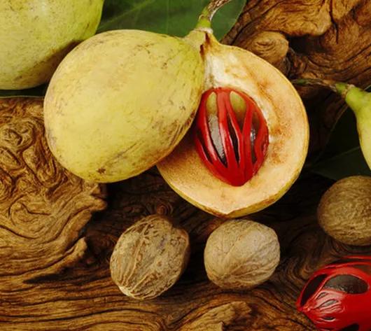 中药肉豆蔻和桂皮,中药材肉豆蔻来源