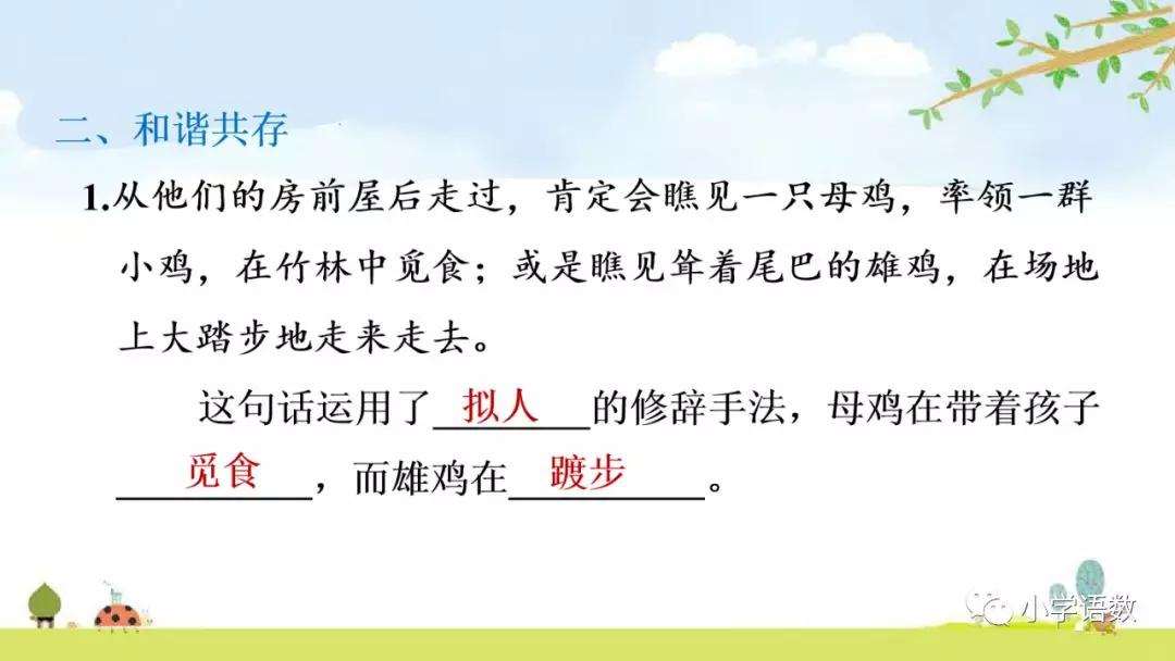 四年级下册乡下人家小练笔350字,四年级语文下册繁星精讲教学视频