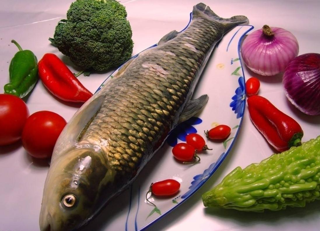 水库的草鱼在哪里,水库草鱼特点介绍图