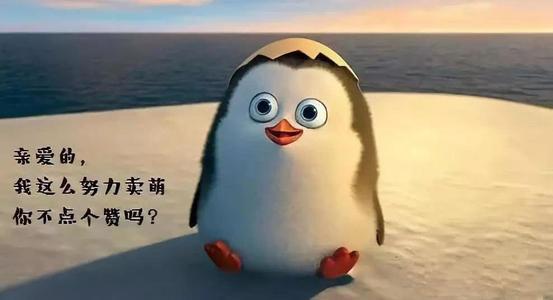 短线操盘技术分析,股市追涨杀跌操作