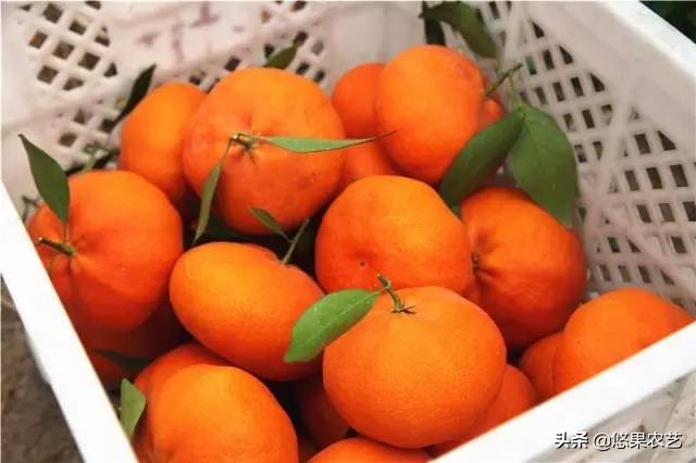 品质因数,品质测定的指标