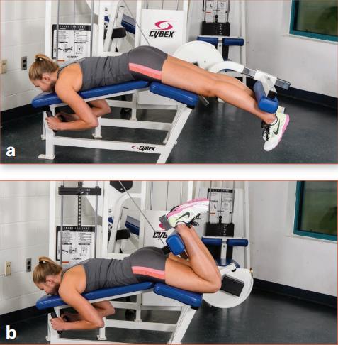 力量训练一周6练训练计划,一天练三个部位的力量训练