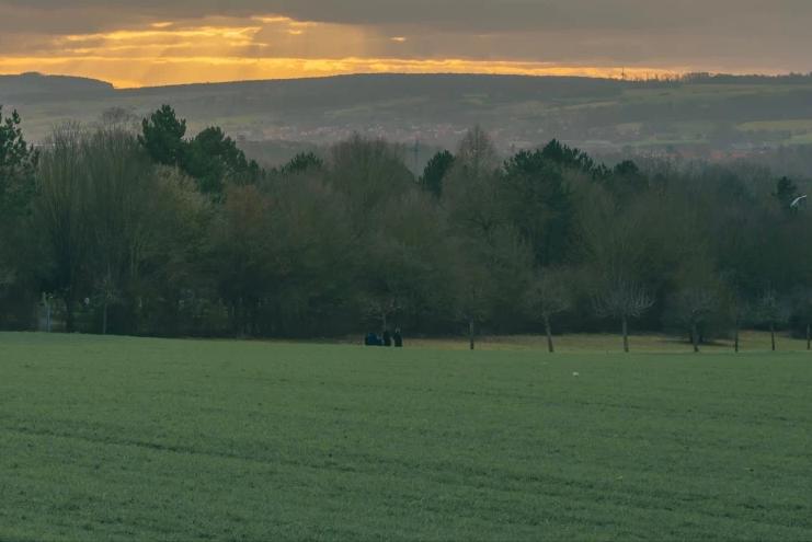 不会受任何人摆布,不会屈服任何人的星座