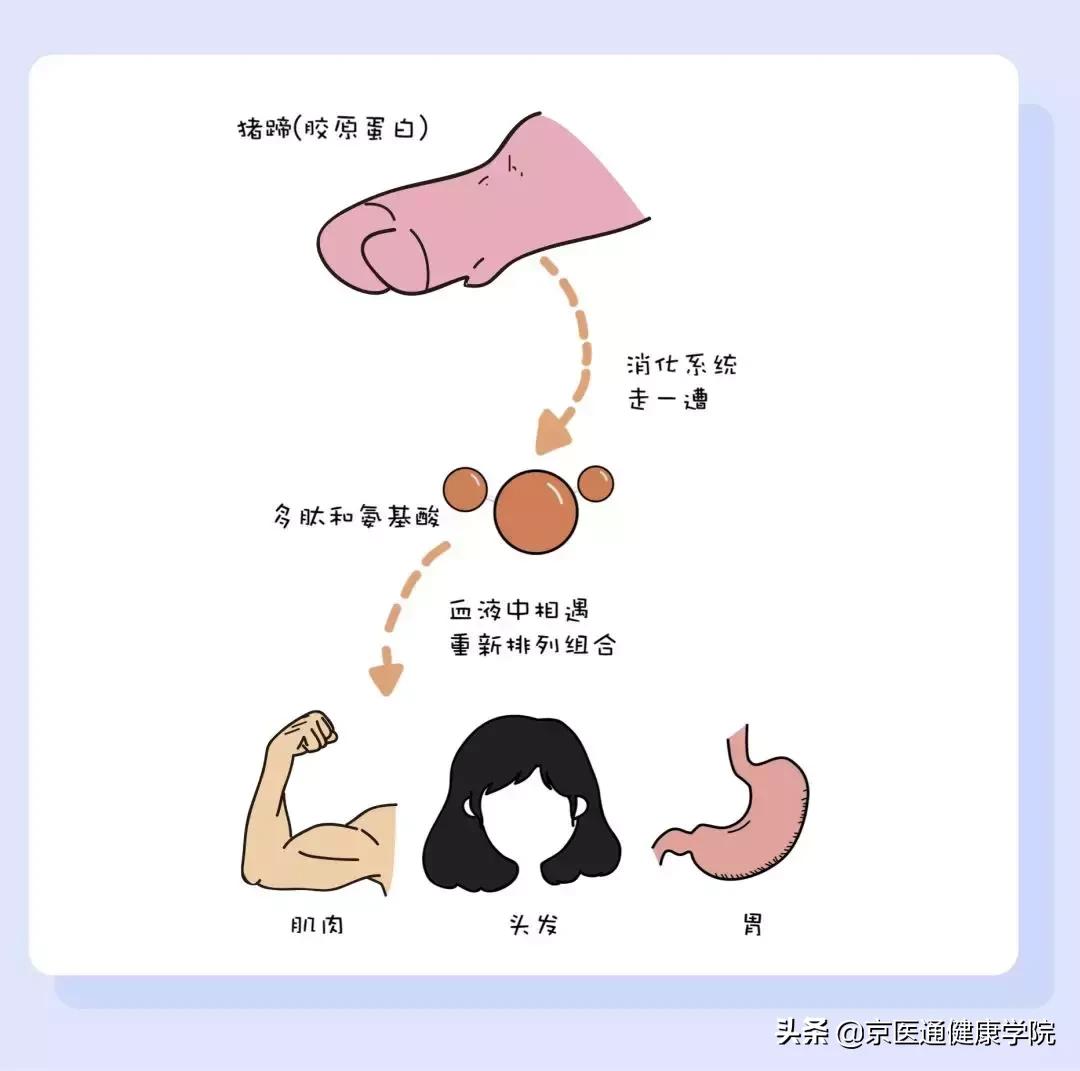 胶原蛋白真的有必要买吗,新手一定要知道的胶原蛋白骗局