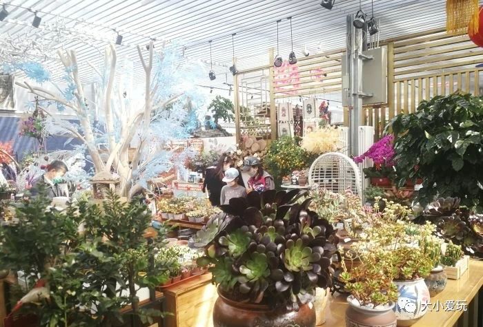 可以逛的花卉市场,值得去看的花卉市场