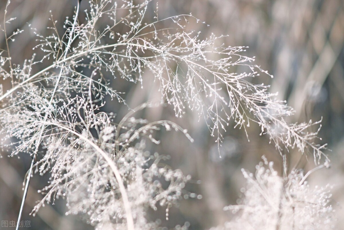 成人之美是一种修养也是最高境界,成人之美是一种高贵的品质