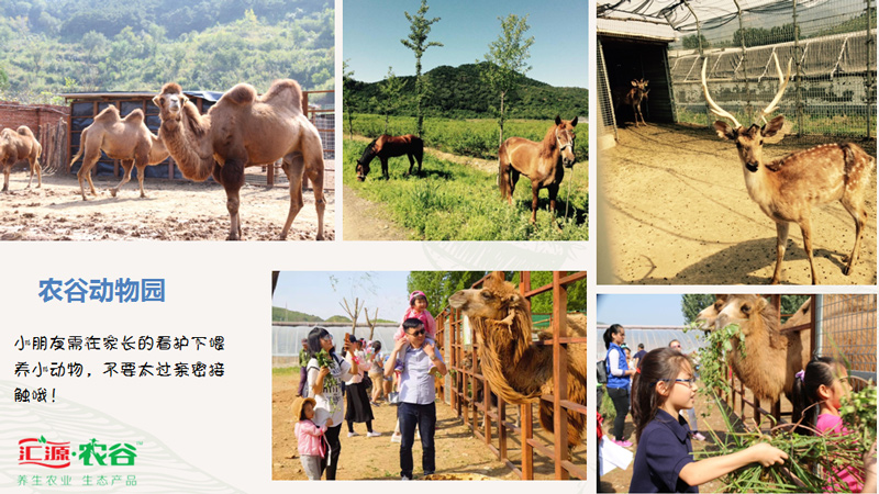 周末游玩避暑尽在密云清凉谷,北京密云冬天游玩攻略