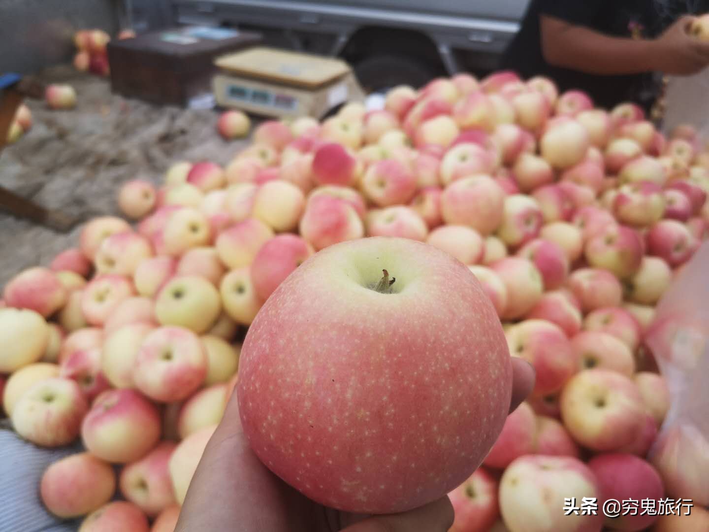 东北兴城早市,兴城最好的早市在哪里