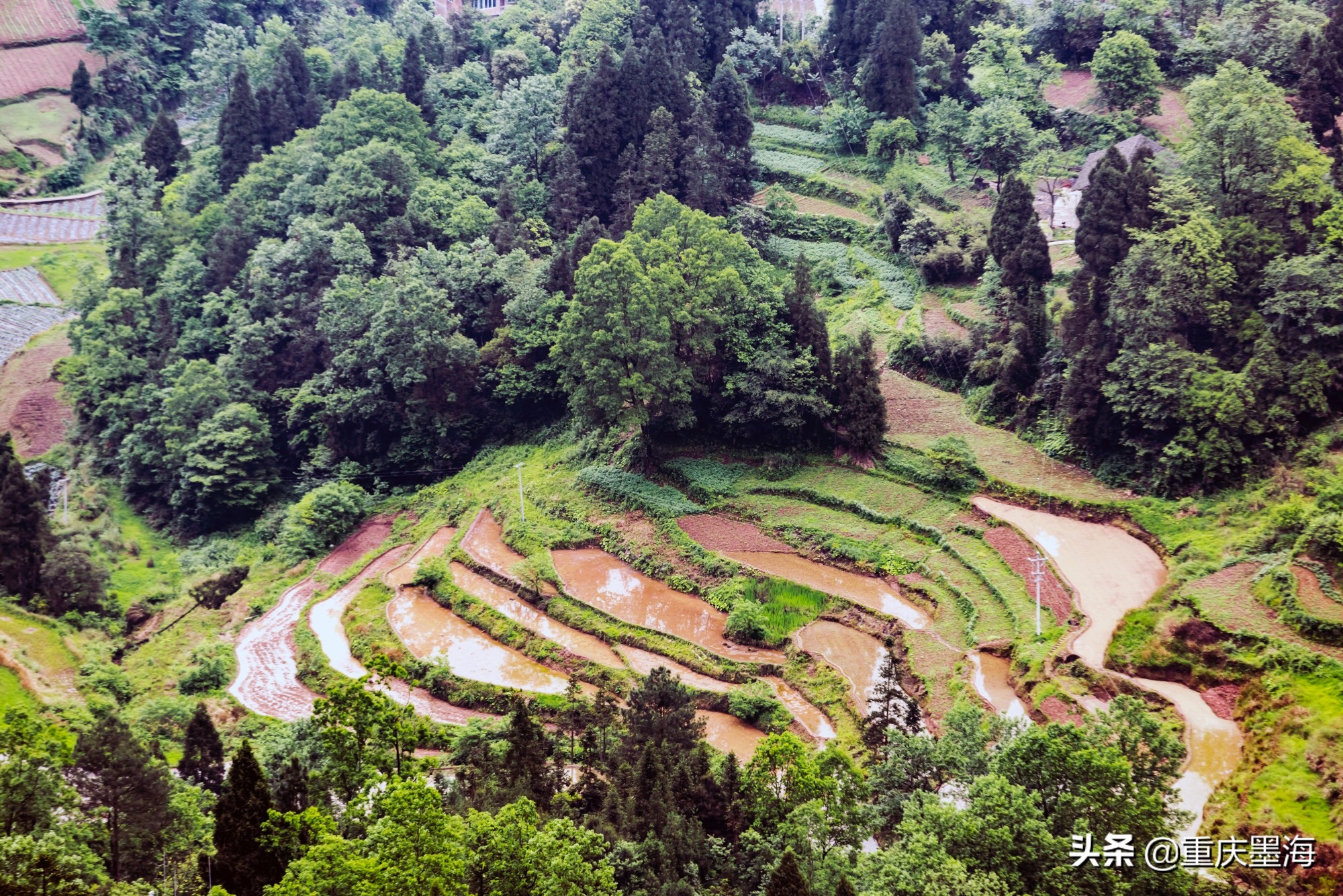 习水红军长征路,习水土城红军战斗遗址