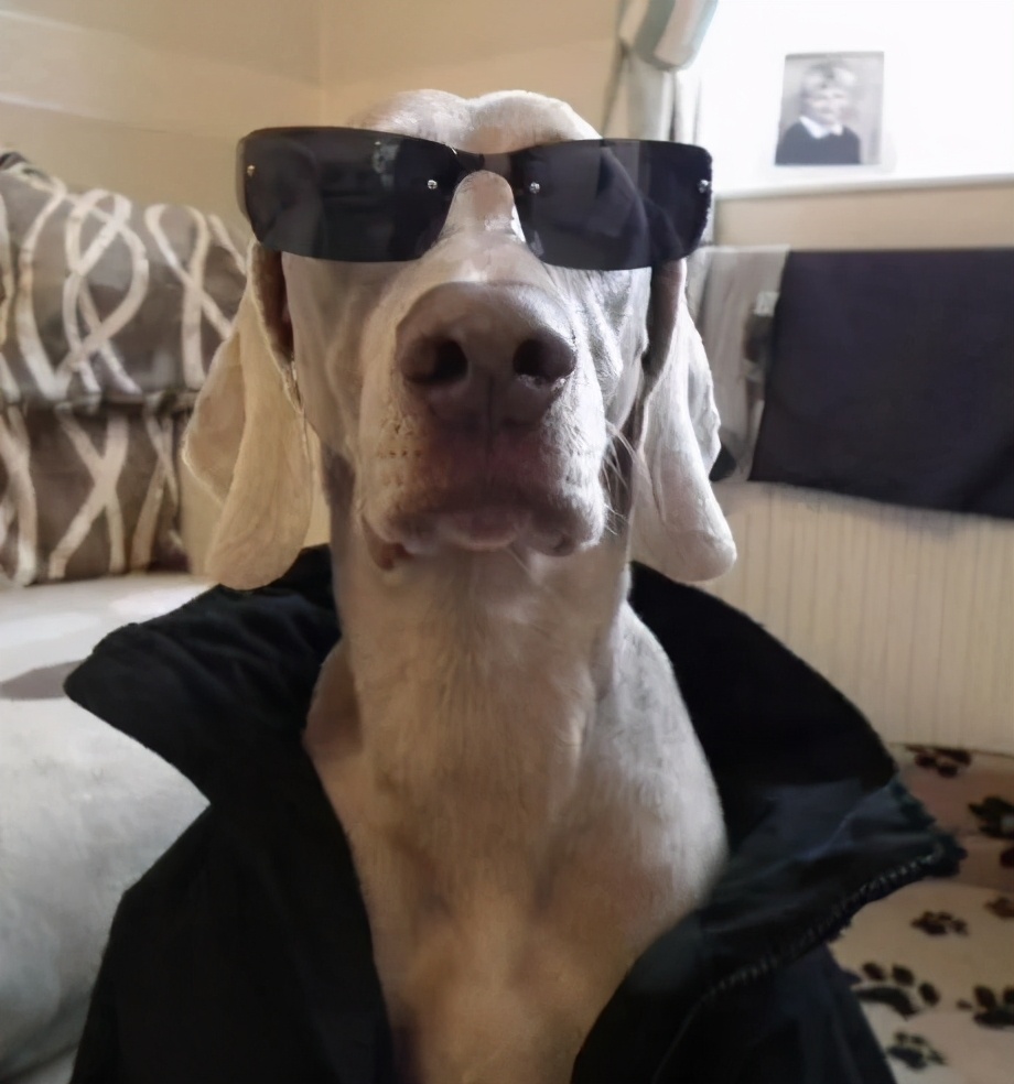 秋冬超级有效的护肤技巧,必看的秋冬护肤小秘诀