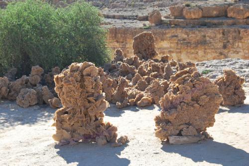 为啥在沙漠里见到石头要捡起来,在沙漠里看见石头为什么要捡起来