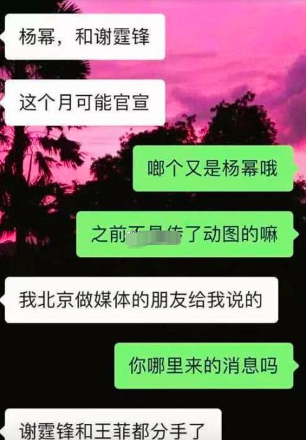 王菲谢霆锋低调甜蜜同框,王菲谢霆锋同框现身机场