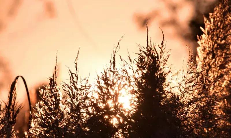 云南昆明小西湖,距离昆明3个小时车程的绝世仙境