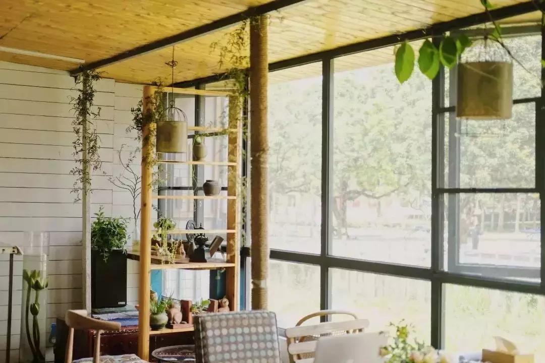 深圳市一日游攻略最佳路线,深圳一日游详细攻略大全最新