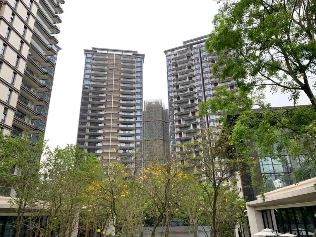 成都新川科技园发现六千多座古墓,新川科技园为啥那么多古墓