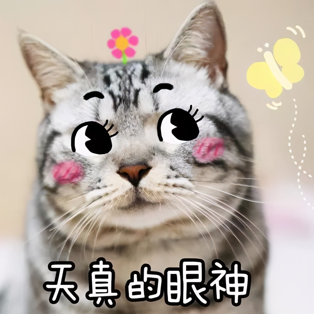 三本考研应该选什么学校比较好,适合三本考研的难度低学校有哪些