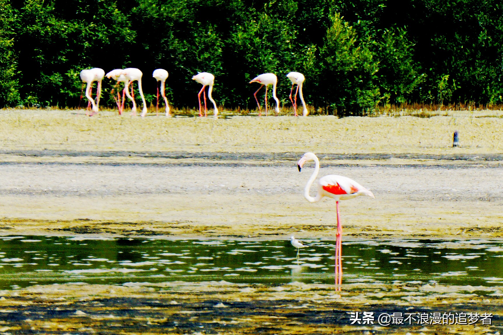 阿联酋迪拜的旅游感想,阿联酋迪拜旅游攻略