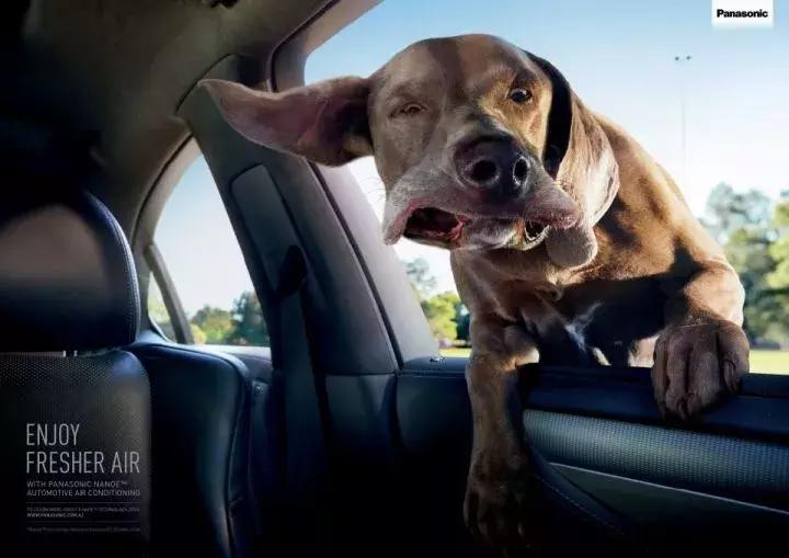 那些让你意想不到的广告创意,创意广告怎么做才能吸引人