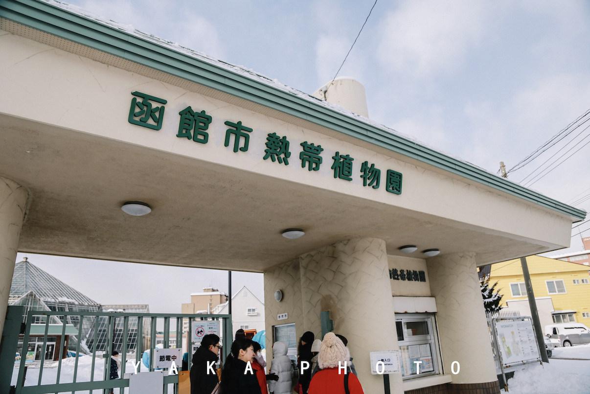 日本北海道函馆二日游自由行攻略,日本人最爱去哪里旅游