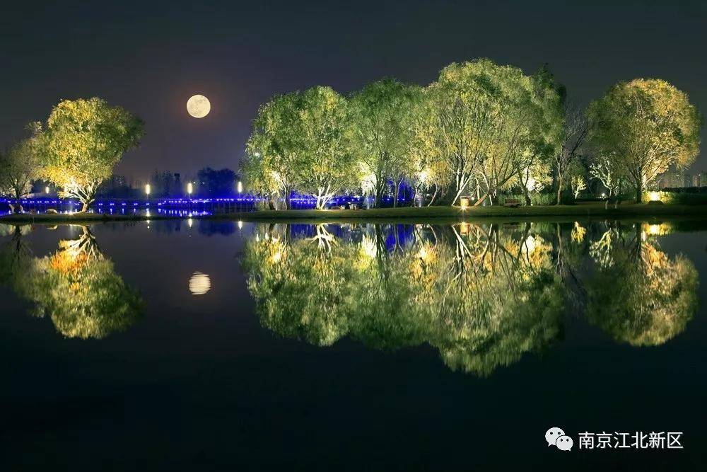 新区高质量发展的意见建议,促进国家级新区高质量发展