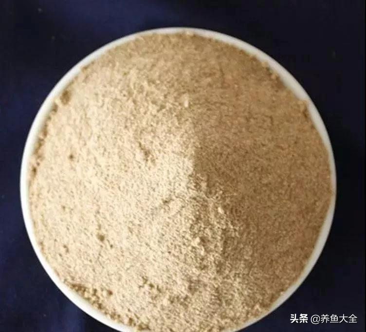 新缸养鱼多久可以建立硝化系统,不养鱼之前如何建立硝化系统