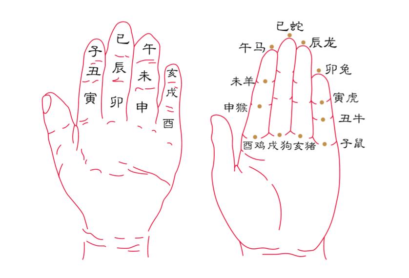 本命年要忌讳哪些属相,本命年对属相的人的影响