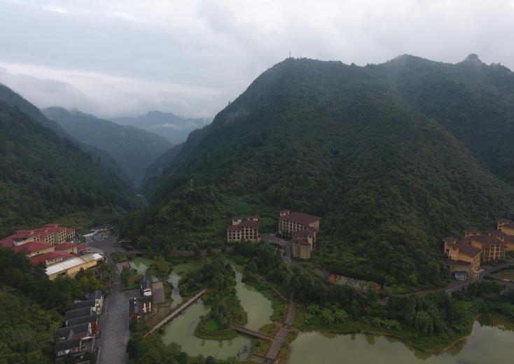 閲嶅簡涔℃潙缁垮寲缇庡寲寤鸿,缇庝附涔℃剚鍐滄潙缁垮寲缇庡寲