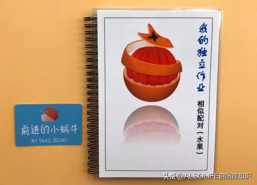 一整个切块的苹果,把一个苹果切成两半体积有变吗