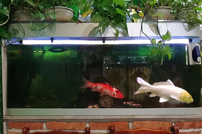 青岛便宜好吃私房菜馆有哪些,青岛最出名的本地菜馆