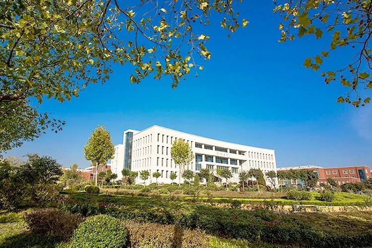 学王牌专业就业怎么样,学王牌专业就业前景怎么样