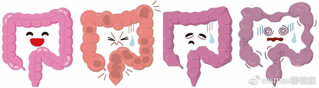 暴食症（贪食症）的谜团-文字篇