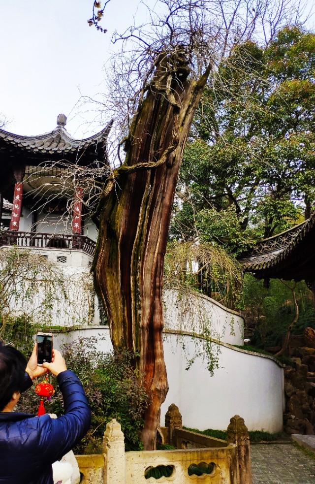 来扬州一定要去瘦西湖美出仙境,记录扬州瘦西湖之旅