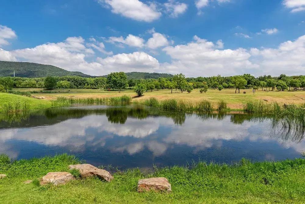 太全了,南京人少景美的免费公园