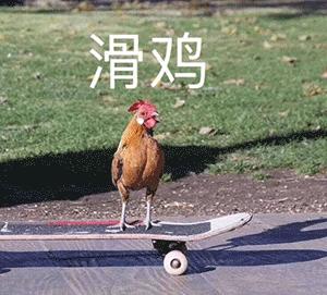 特朗普到底叫什么,特朗普一直都叫特朗普吗