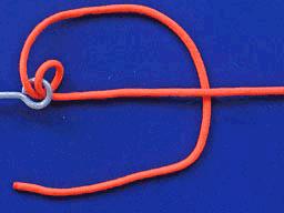 锚鱼钓钩绑线全套方法,如何绑钓钩鱼线