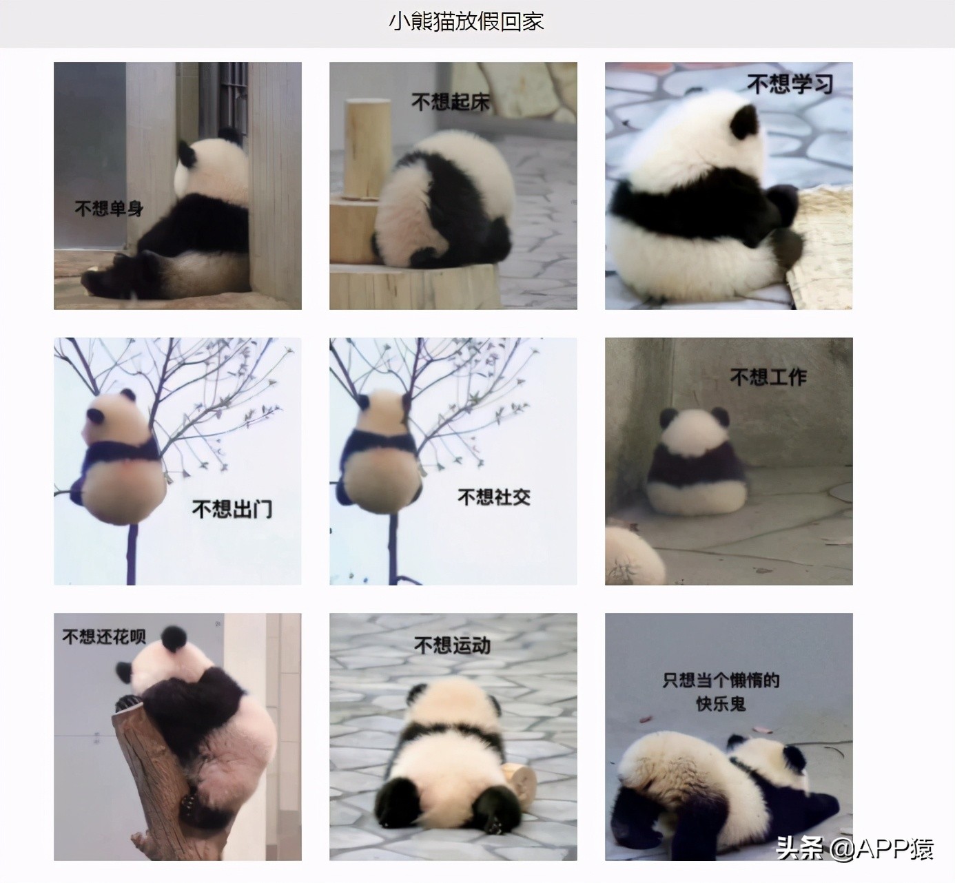 分享一个大家收藏已久的网站,分享六个超有意思的网站