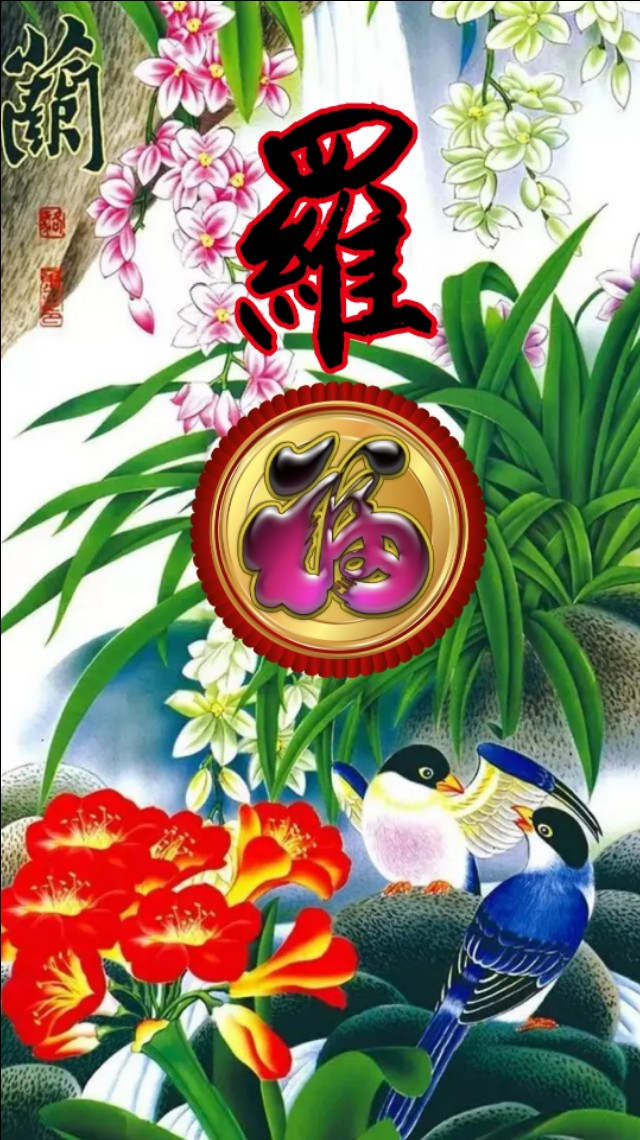 精美兰花壁纸图,兰花高贵壁纸