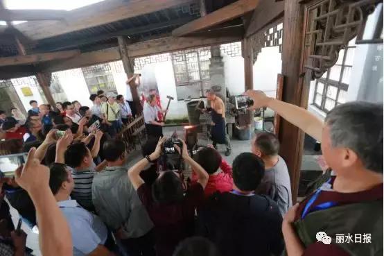 红色新丽水,红色浙西南央视