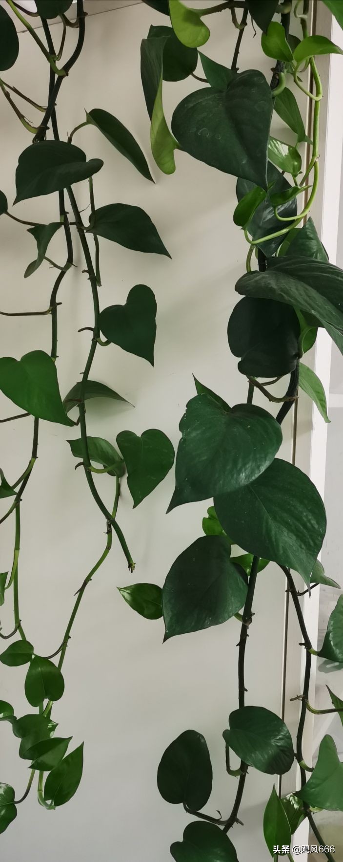 生命教育之殇～青少年自杀的思考