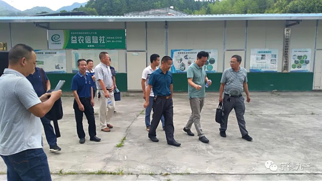 九三学社宁德市委员会,宁德古田乡村振兴