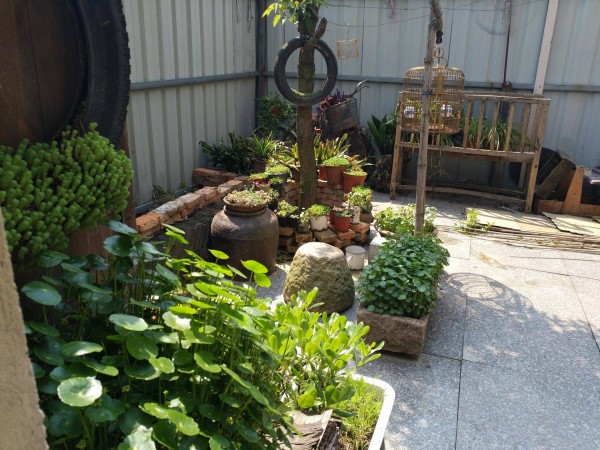 适合栽在庭院的多肉,庭院地栽多肉设计