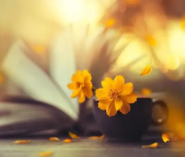 对联应掌握的90个知识点,对联知识点整顿